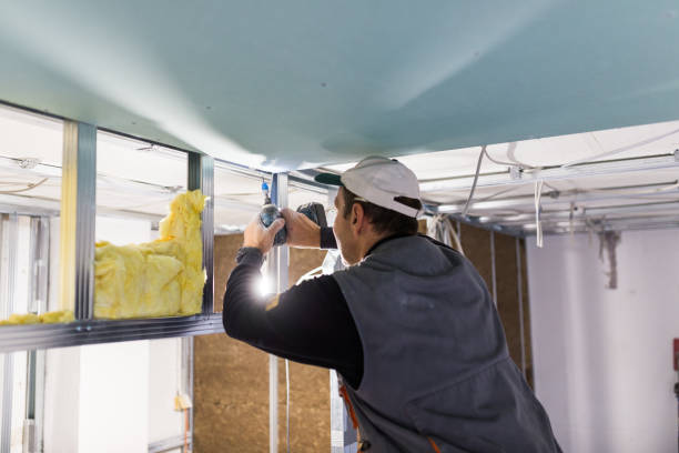 Best Geographic-Specific Insulation Services in Fort Scott, KS